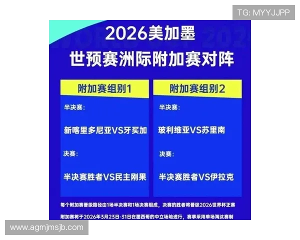 世界杯冠军次数排名一览表最新2026年详细解析与数据统计